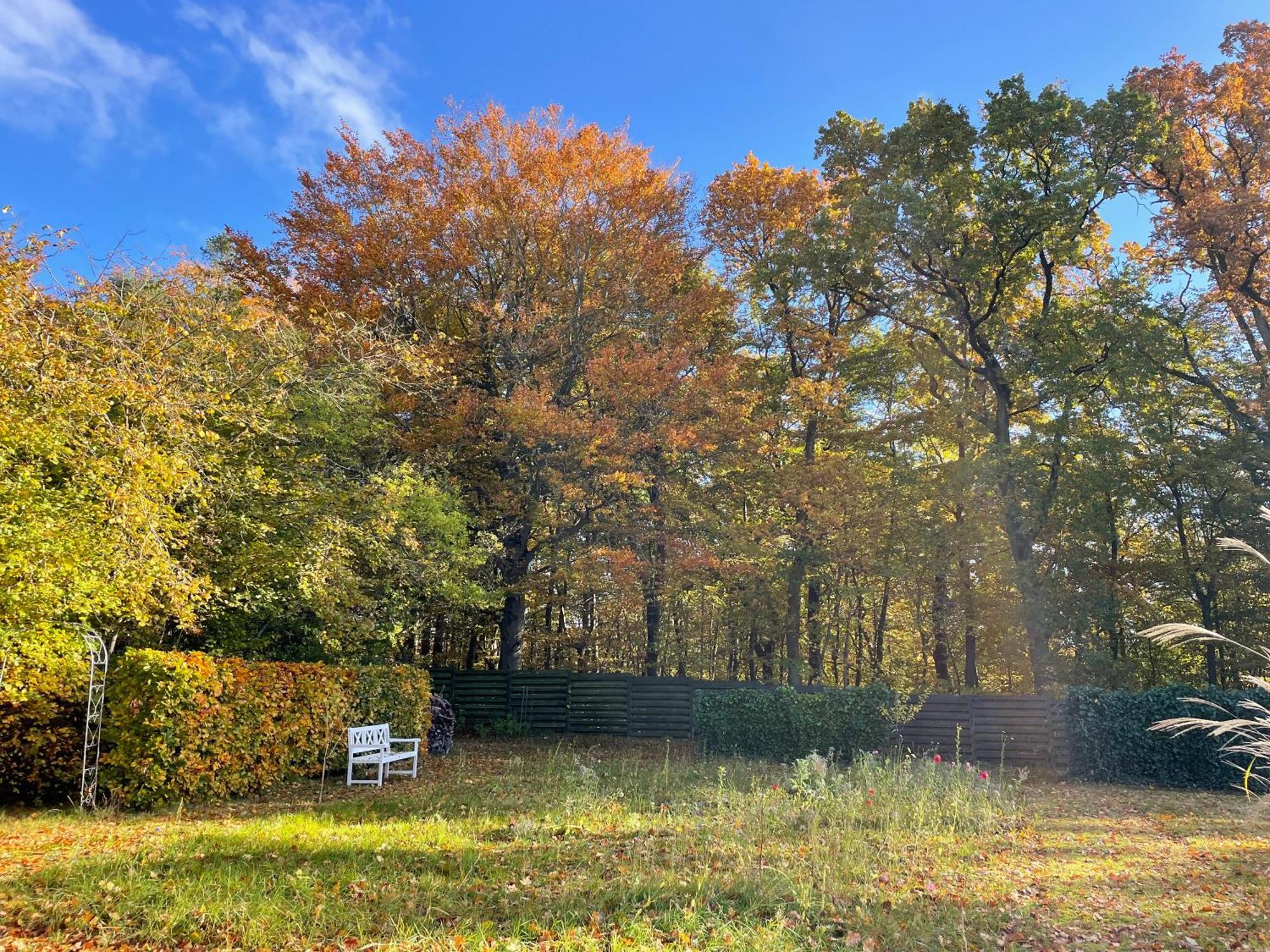 Cozy Private Annex Near Bathing Lake And 30 Min. From Copenhagen Slangerup المظهر الخارجي الصورة
